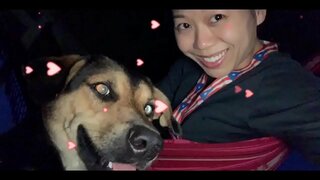 دولت است که دشمن خود را و آنها خواهد k. همه ما اگر شما عمل نمی در حال حاضر! سرنگونی خود را GOVTS و نور تا تمام 5G برج در حال حاضر قبل از آن k.S همه ما!!